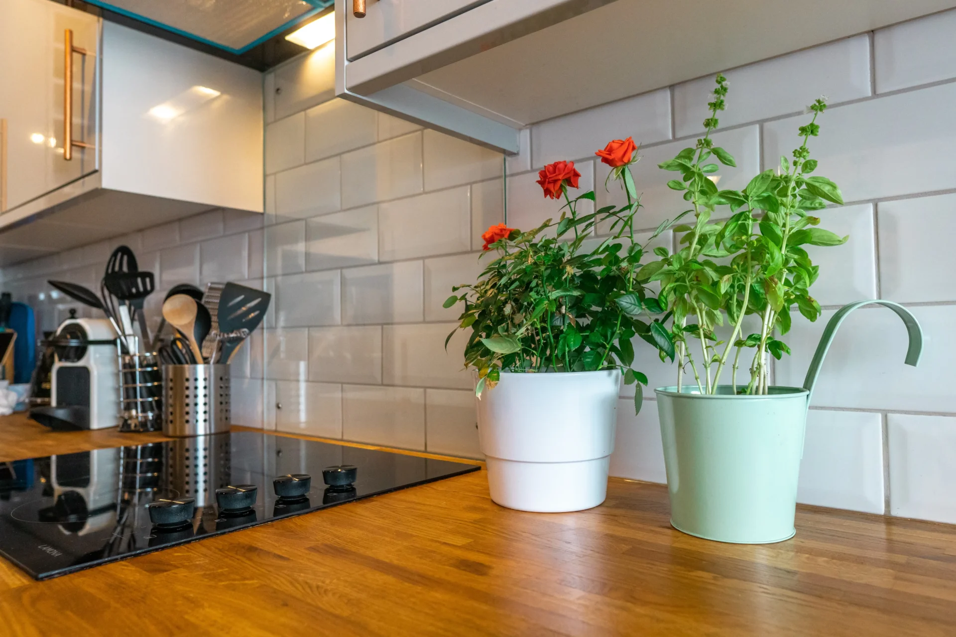 kitchen plants decor