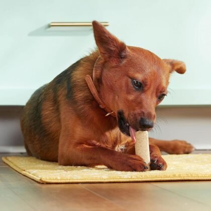 Health & household, food supplements, Soup Bones Dog Treats